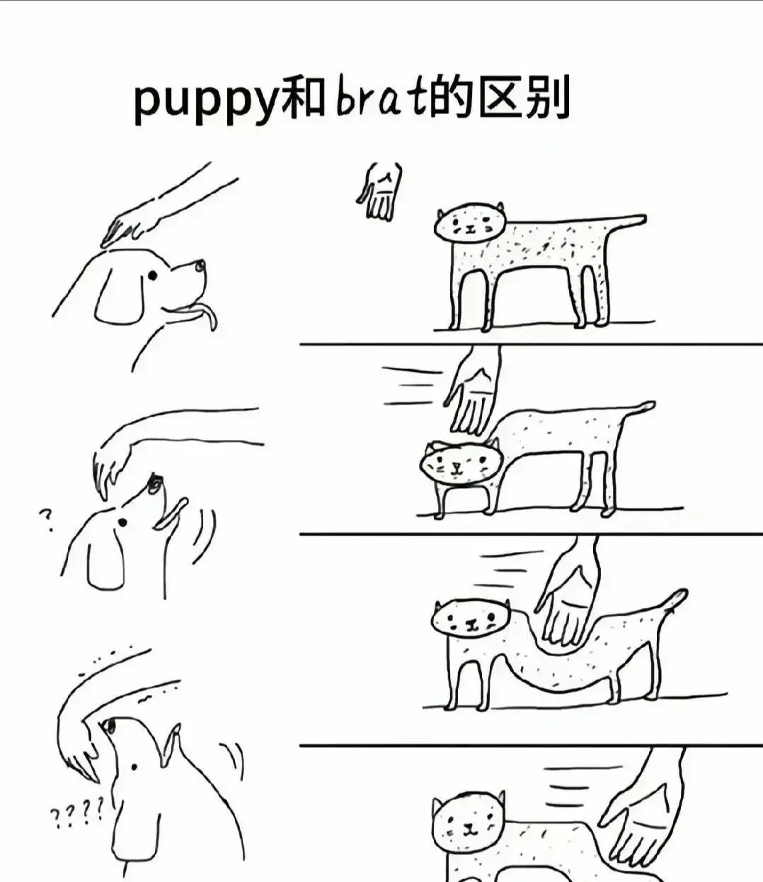 【西檬之家】- 字母圈新人入门指南：BDSM基础知识与安全原则