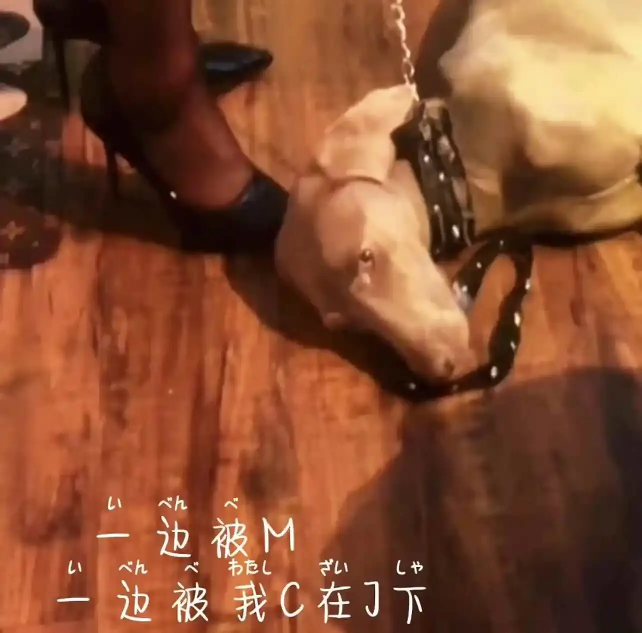 西檬之家-圣水：BDSM文化中的特殊元素与注意事项