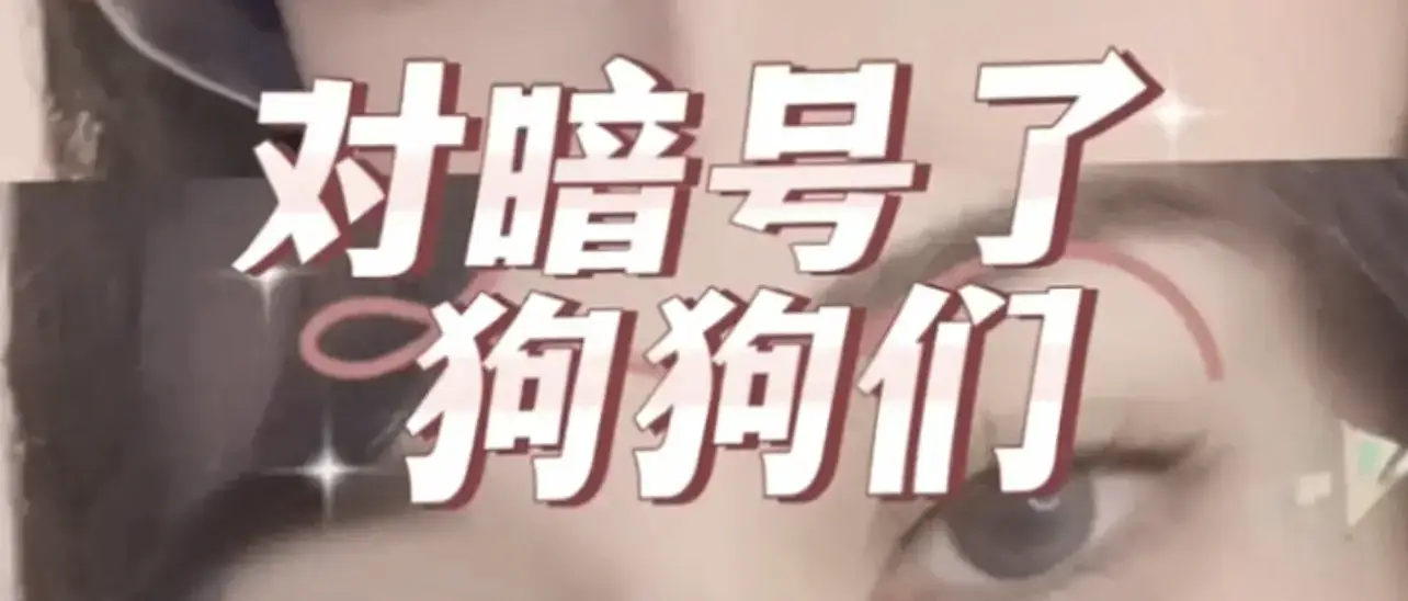 【西檬之家】字母圈的Brat属性是什么？新人全面指南