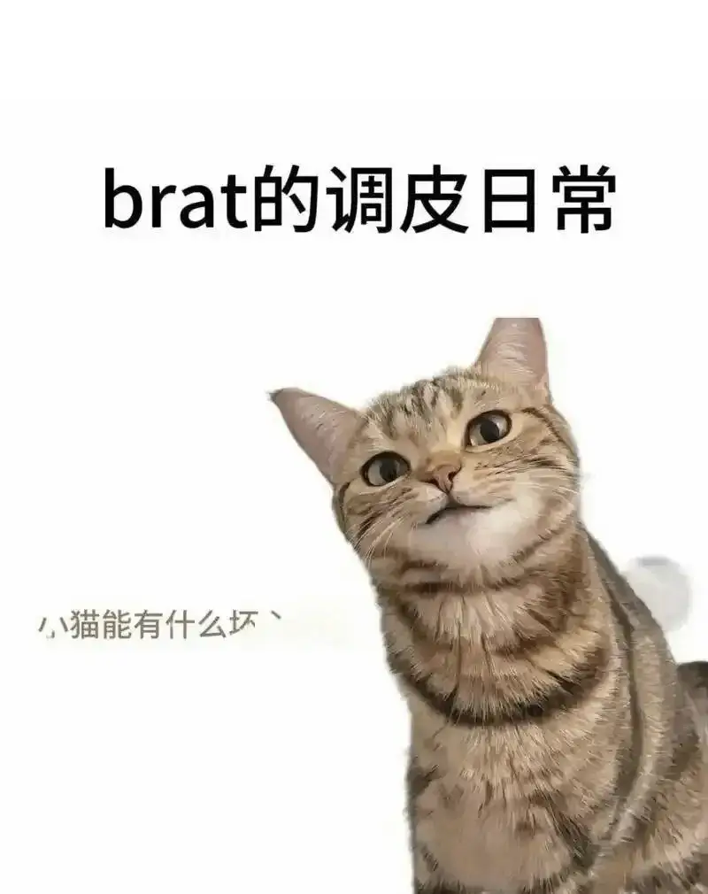 西檬之家-SM亚文化新人指南：字母圈入门