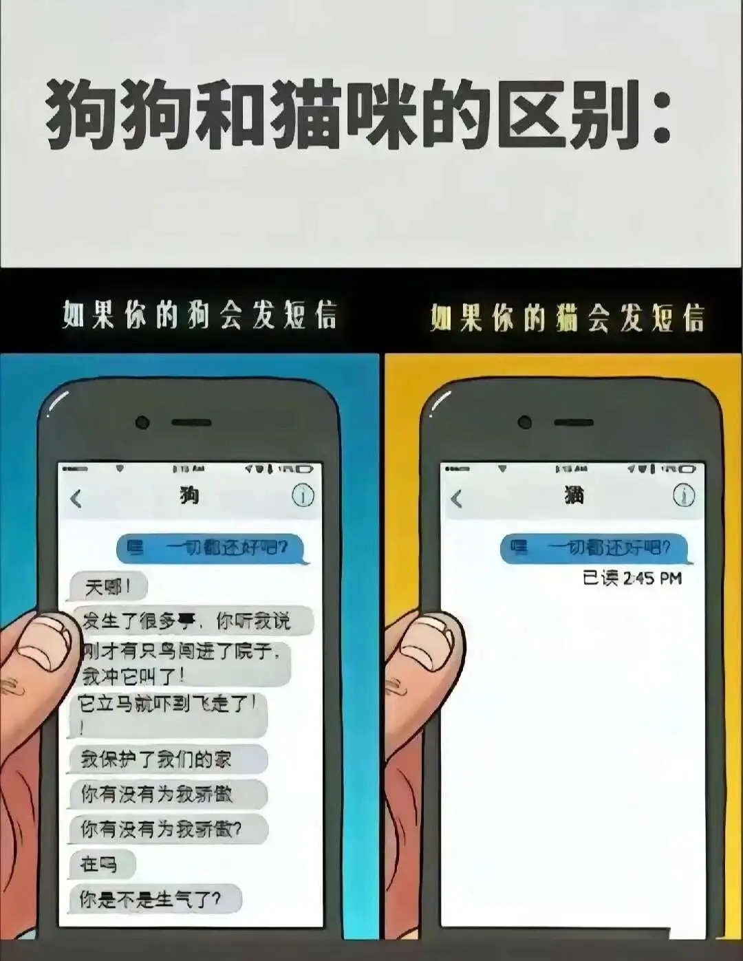 西檬之家-字母圈k9犬系详细解析