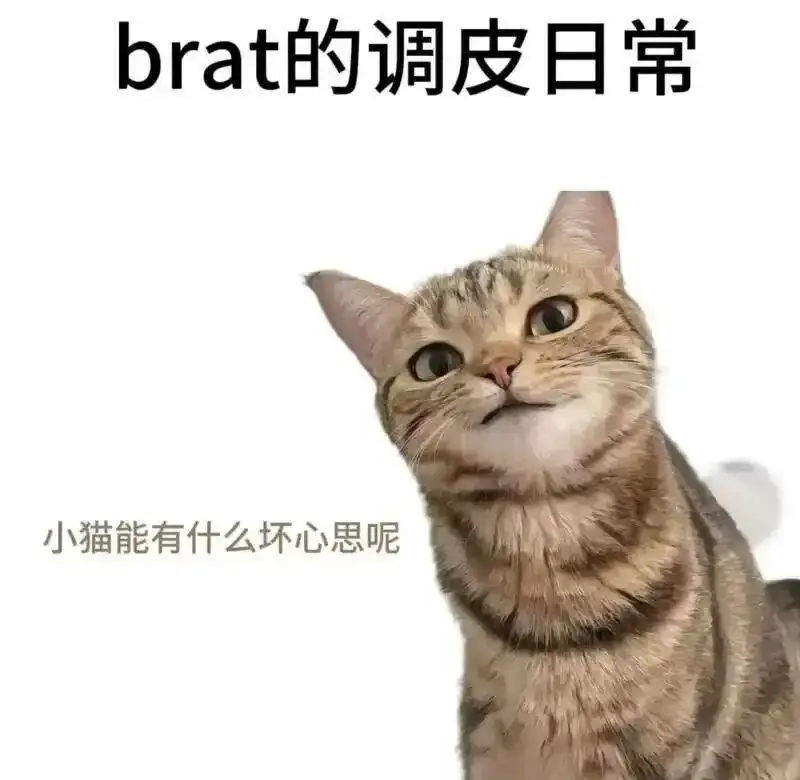 西檬之家-DS关系是什么？字母圈新人入圈指南