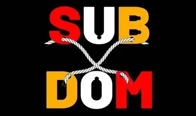 西檬之家-DS关系与字母圈实践指南