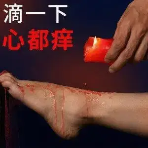 西檬之家-字母圈的S属性是什么？