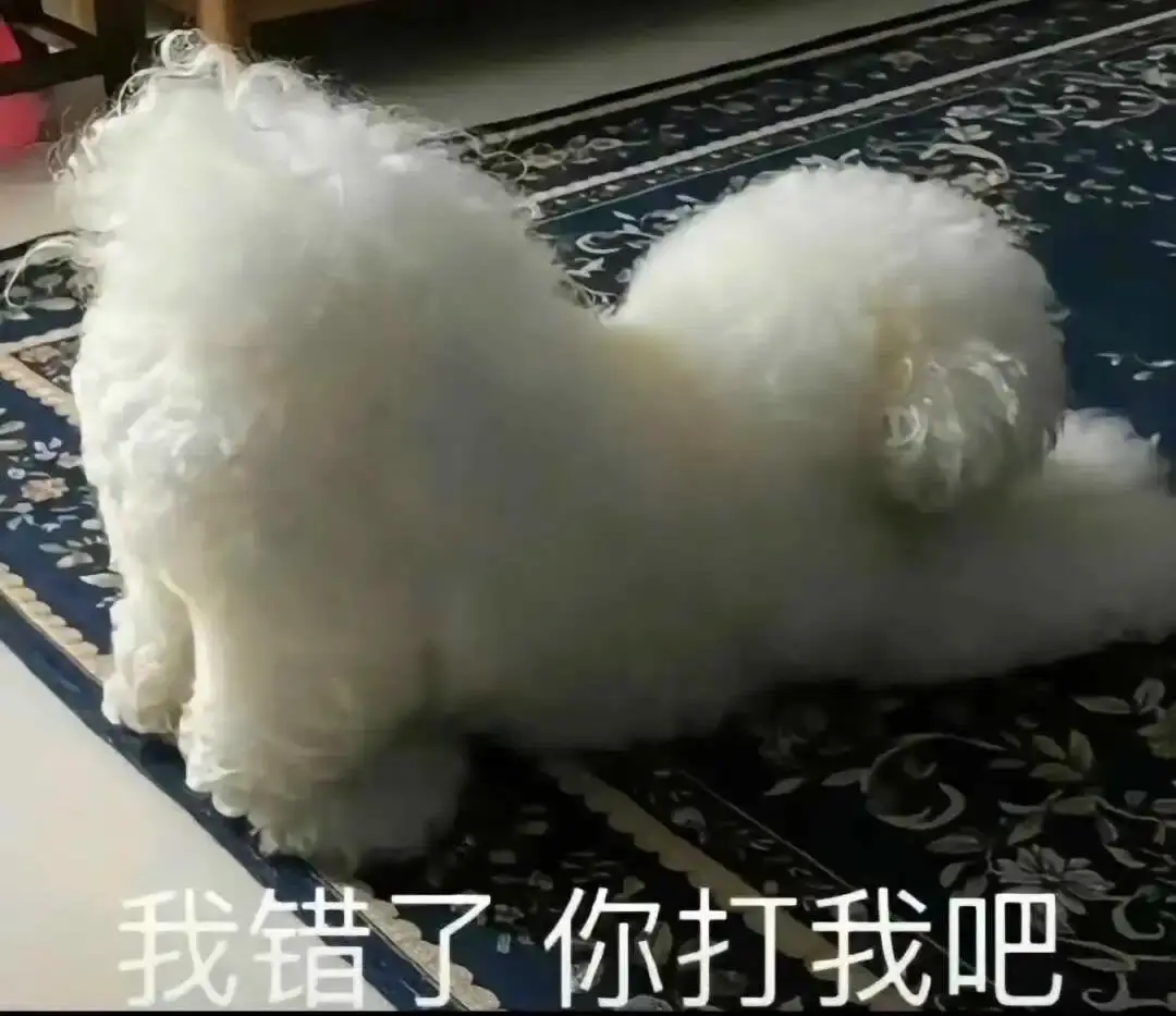 西檬之家-字母圈的Dom是什么意思？
