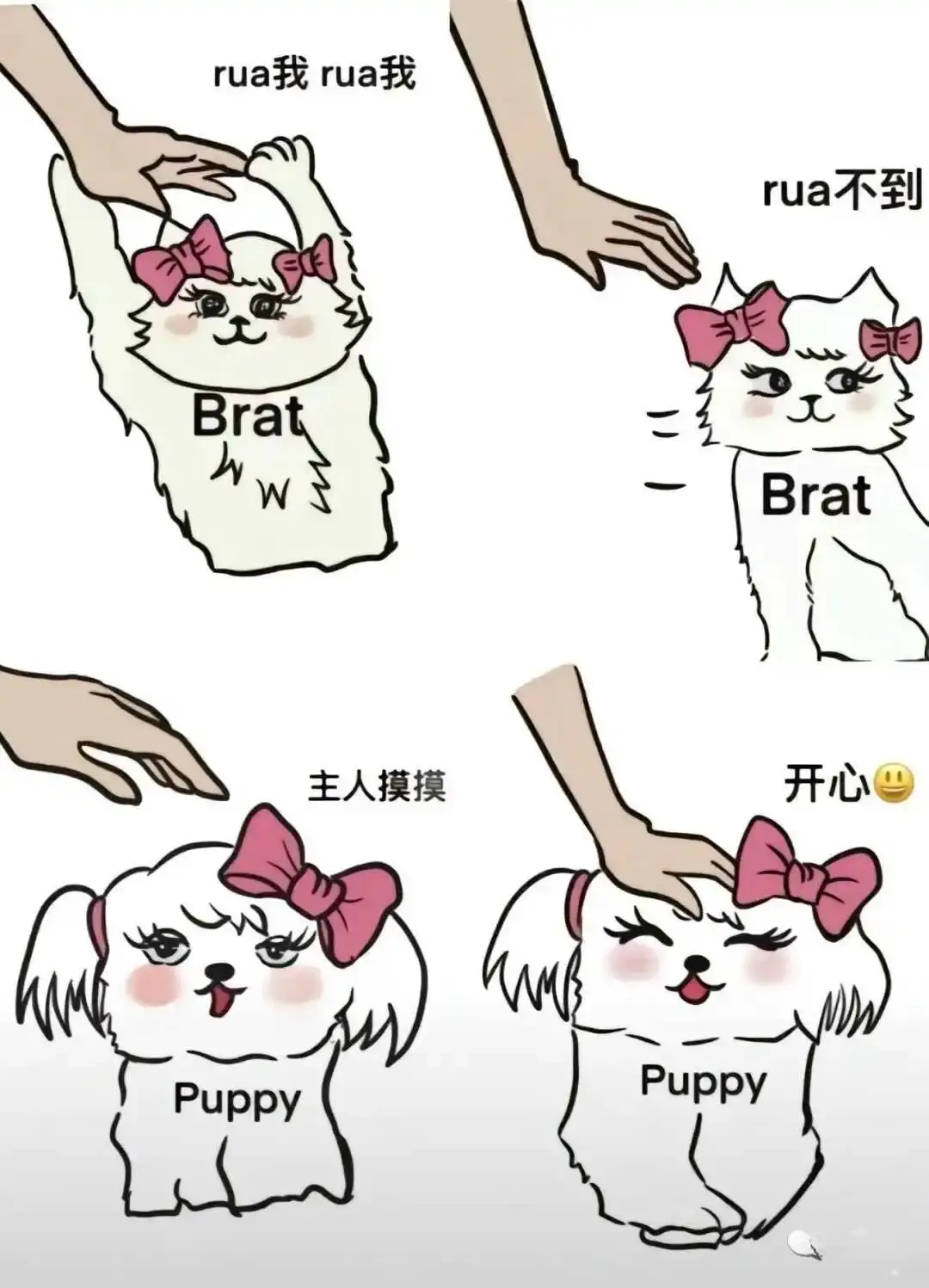 【西檬之家-字母圈DT是什么？你的声音能不能带动玩？】